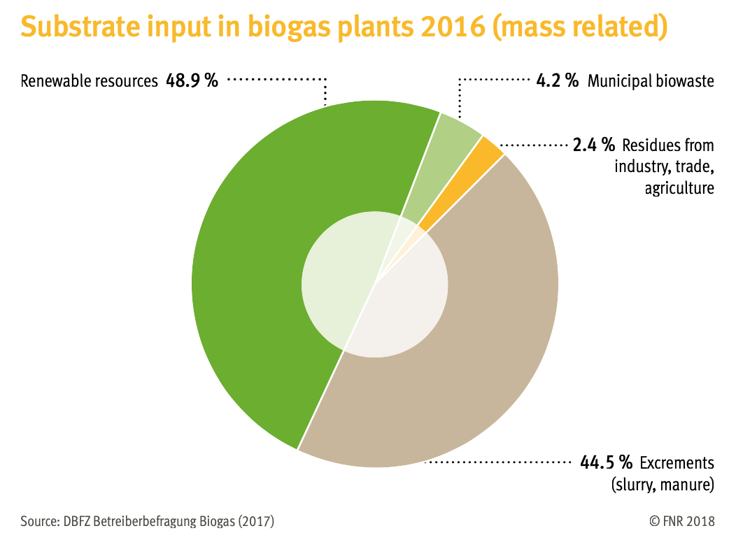 Substrate input in German biogas plants 2016