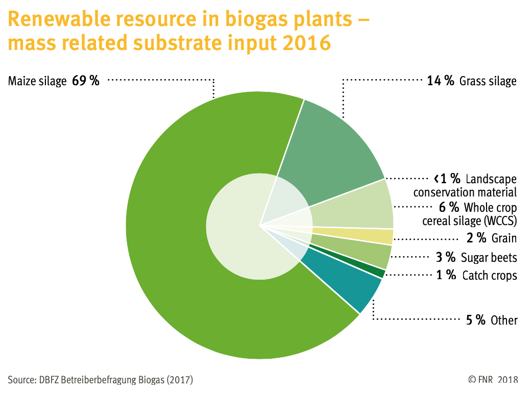 Feedstocks for German biogas plants by mass, 2016