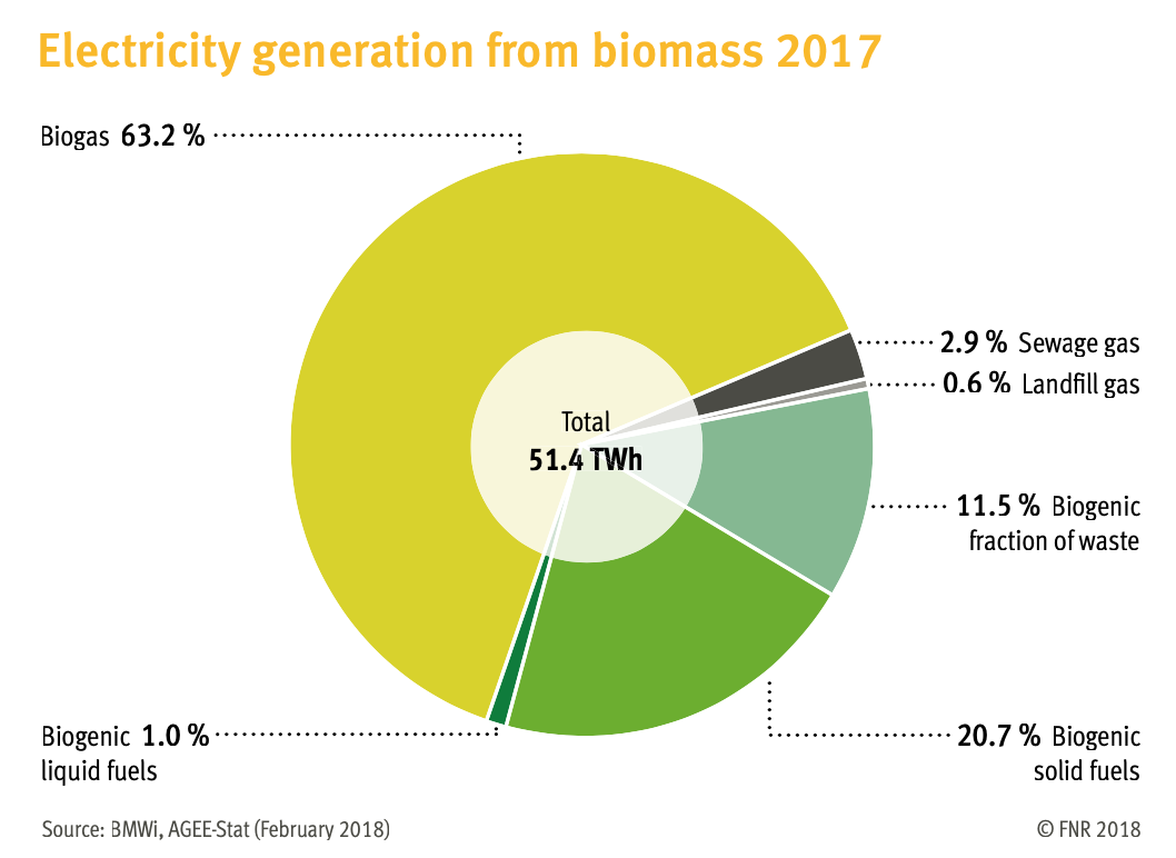 Electricity generation from biomass in Germany 2017