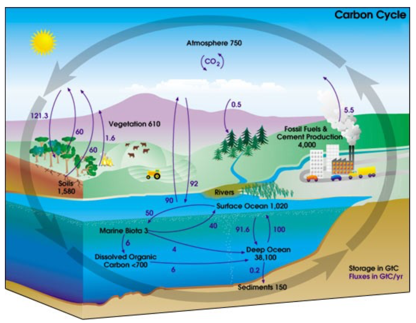 Carbon or harm? The price of the risk of global warming C4CS