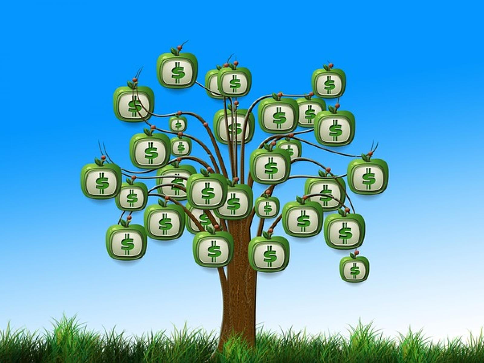 Money tree