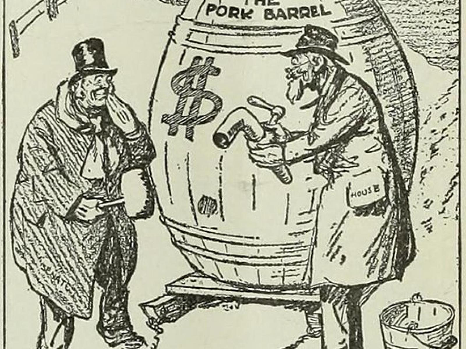 Pork barrel politics Pork barrel politics